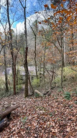 $150,000 | 20 Sinking Cove Road, Sherwood, TN 37376