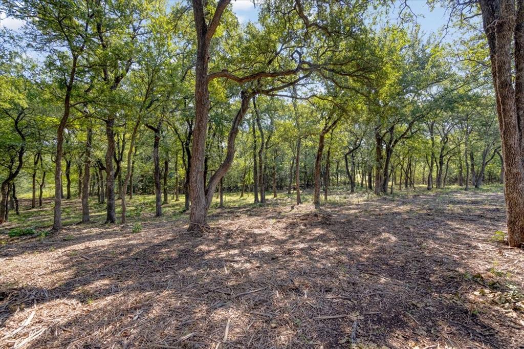 5266 Preston Road, Unit LOT 3) Denison, TX 75020 - Photo 6 of 13 a view of outdoor space with trees