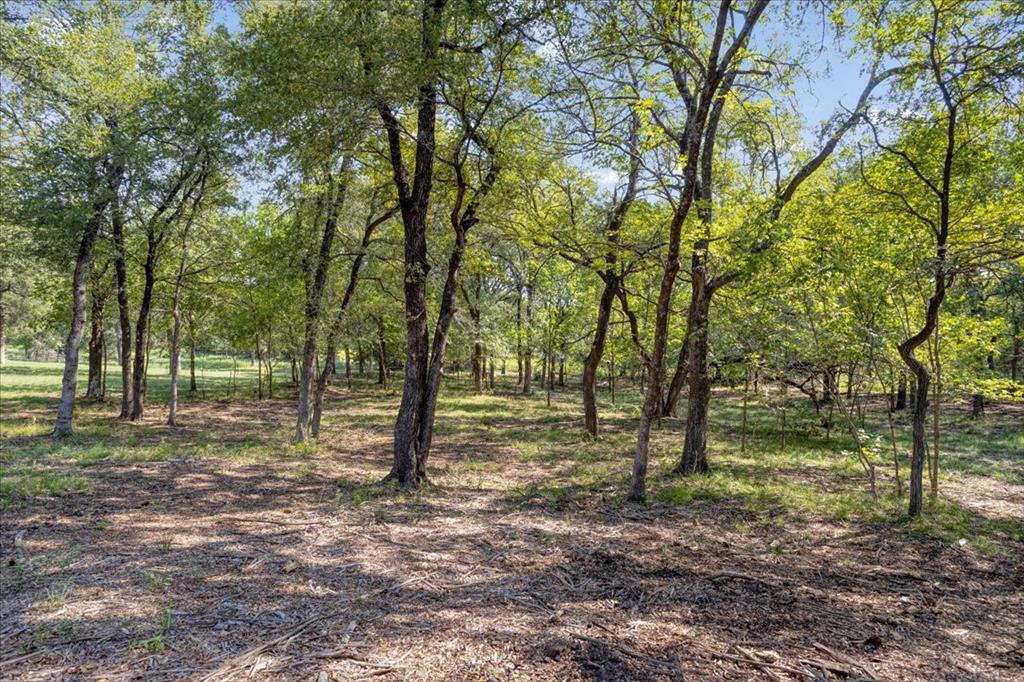 5266 Preston Road, Unit LOT 3) Denison, TX 75020 - Photo 8 of 13 a view of outdoor space with trees