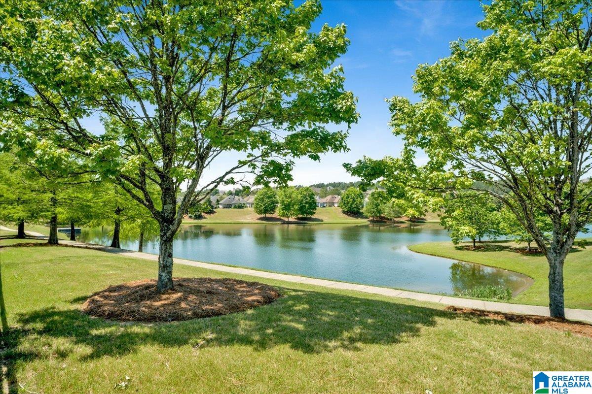 1038 Edgewater Lane Chelsea, AL 35043 - Photo 50 of 66