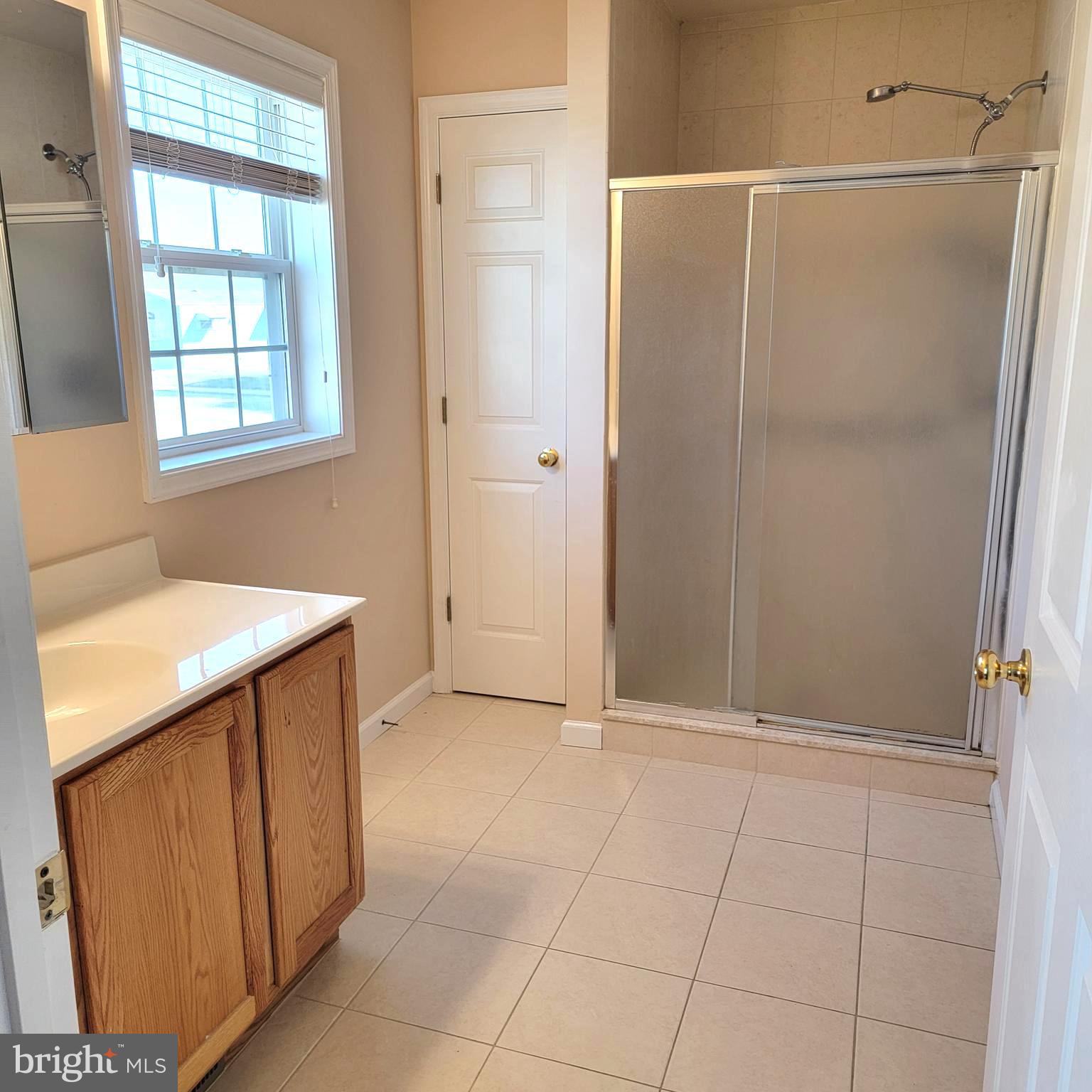138 Pine Tree Road Ocean City, MD 21842 - Photo 20 of 55 Primary Bath