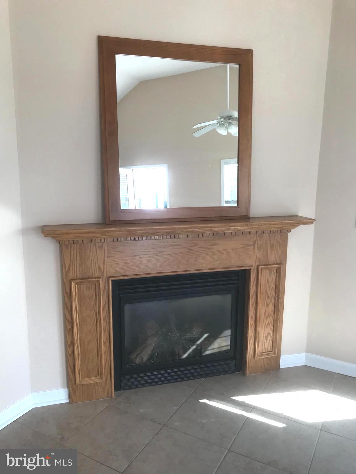 138 Pine Tree Road Ocean City, MD 21842 - Photo 29 of 55 Gas Fireplace with blower