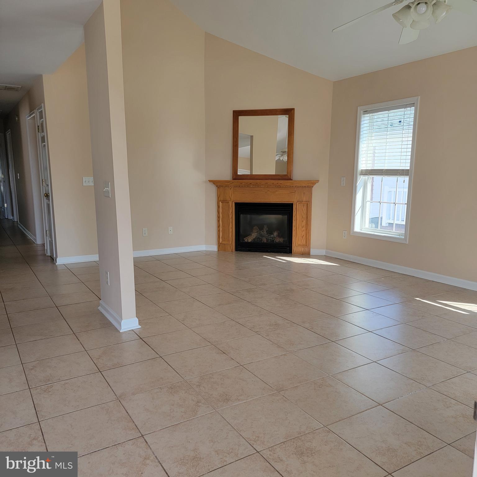 138 Pine Tree Road Ocean City, MD 21842 - Photo 5 of 55 Large Living room with cathedral ceilings, gas FP