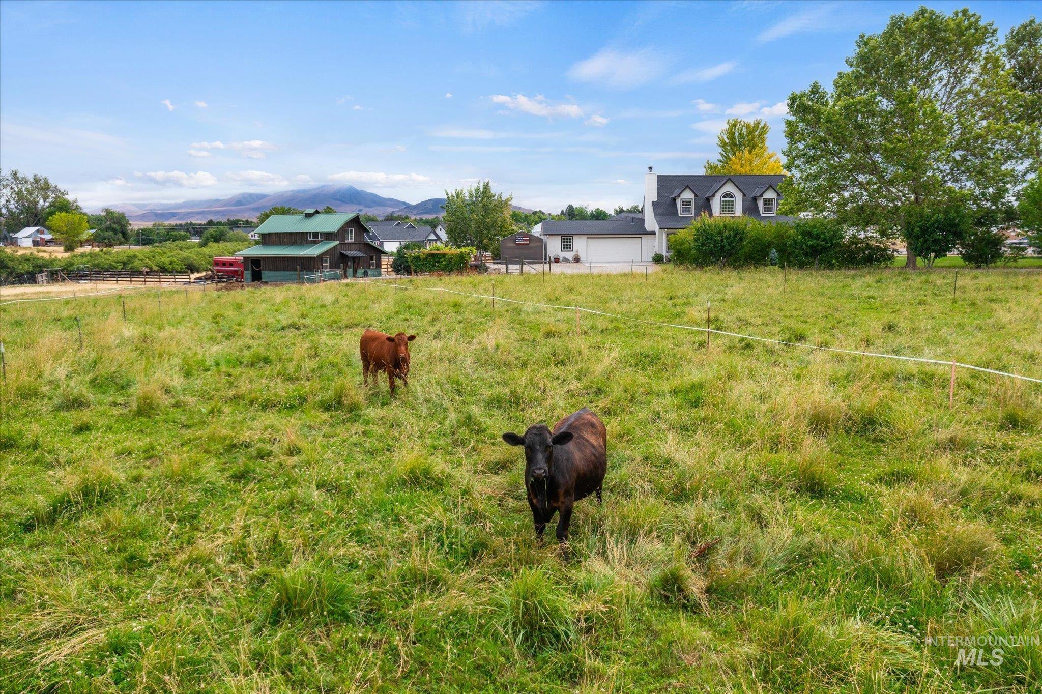 1140 Edgemont Road Emmett, ID 83617 - Photo 36 of 50 Expansive green pasture with a distant mountain backdrop