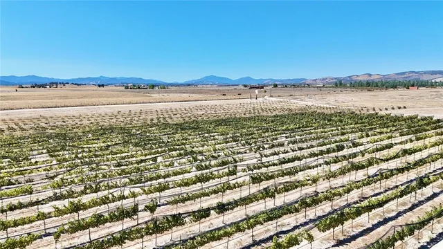 a view of an ocean and beach