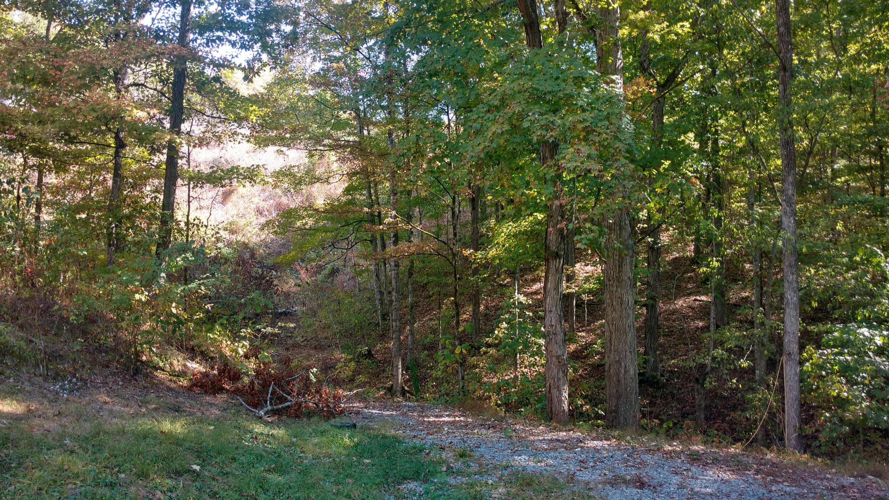 1144 Robinson Gap Road Sevierville, TN 37876 - Photo 10 of 10 LOT