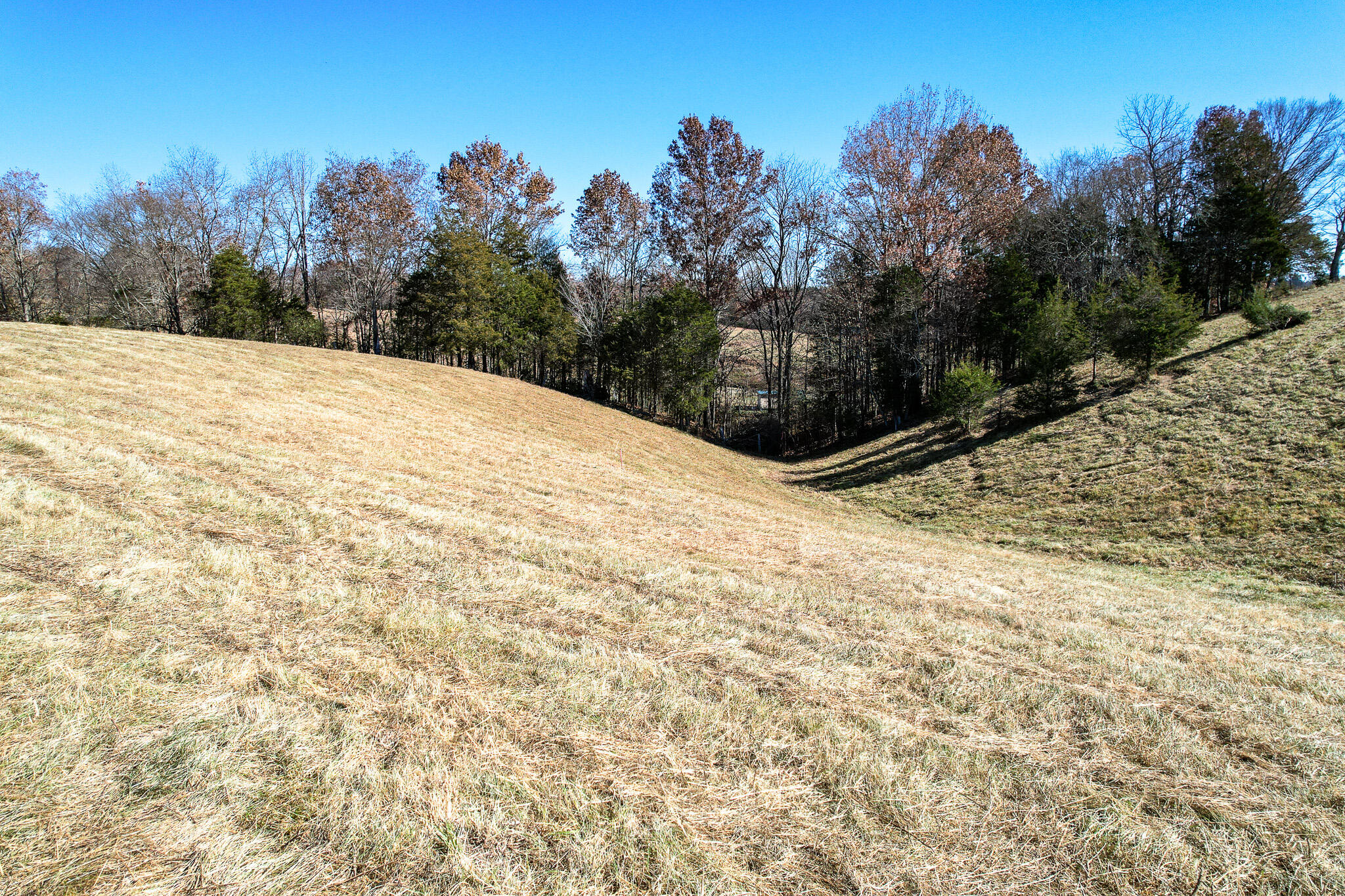 Lot 3 Millers Chapel Road, Unit 3 Greeneville, TN 37745 - Photo 25 of 26 25