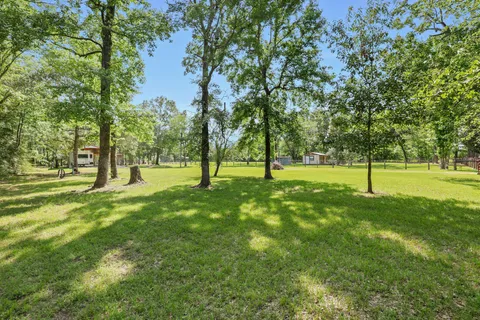 a view of park space