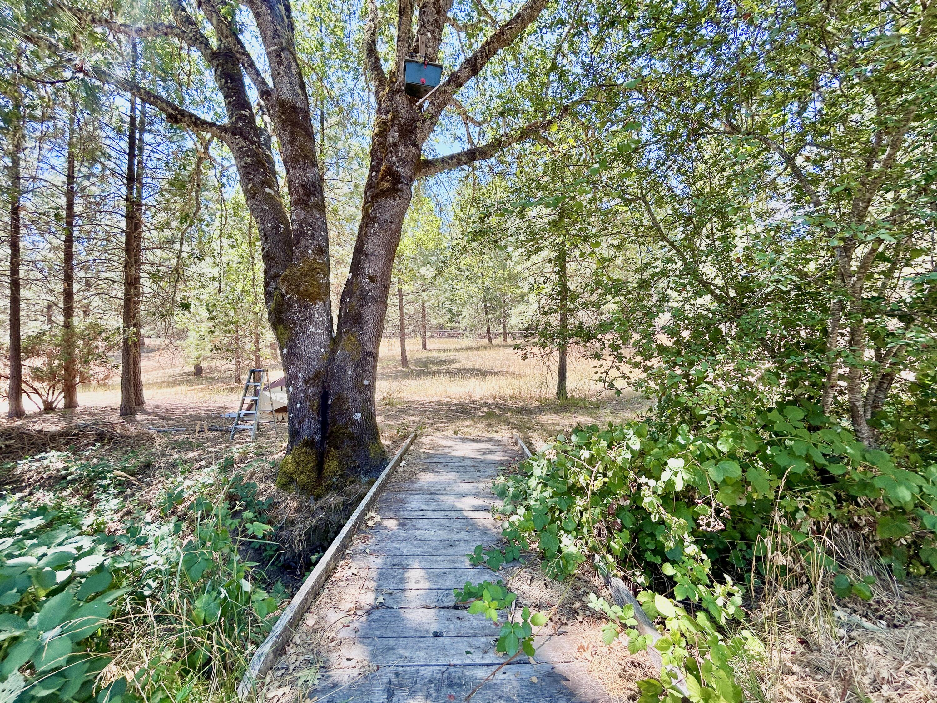 467 Draper Valley Road Selma, OR 97538 - Photo 7 of 21 little bridge