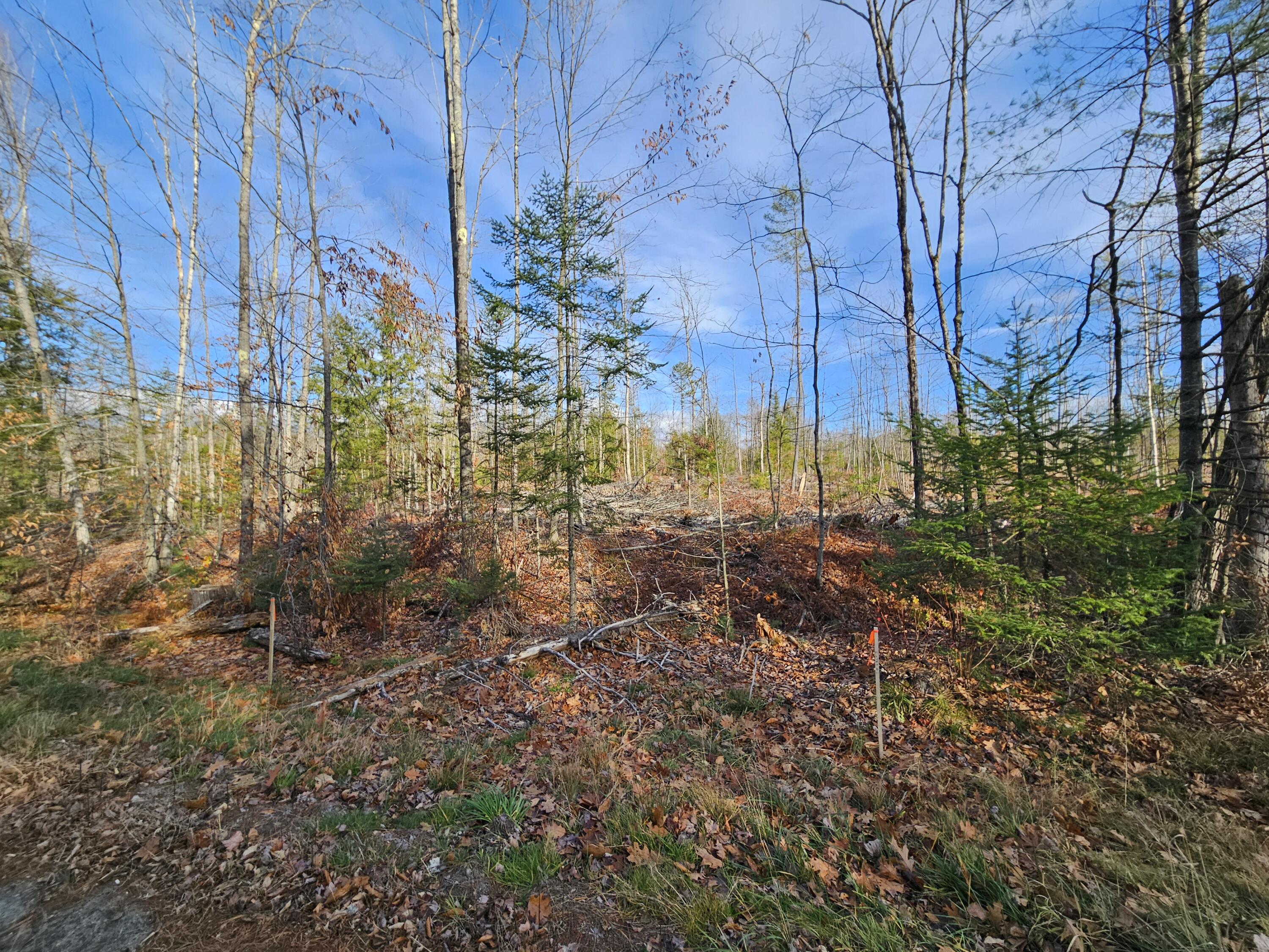 33 Cape Cod Hill Road New Sharon, ME 04955 - Photo 6 of 17 20251112_131248
