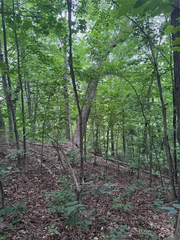 a view of a green field with lots of green space and trees