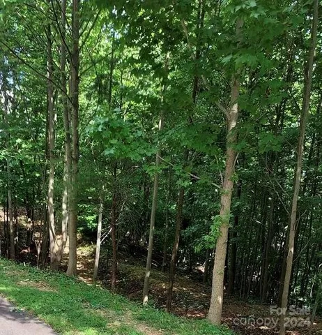 a view of outdoor space and trees