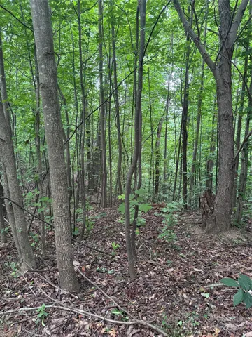 a view of outdoor space and green space