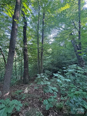 $55,000 | 0 Holland Drive, Unit 18, Columbus, NC 28722