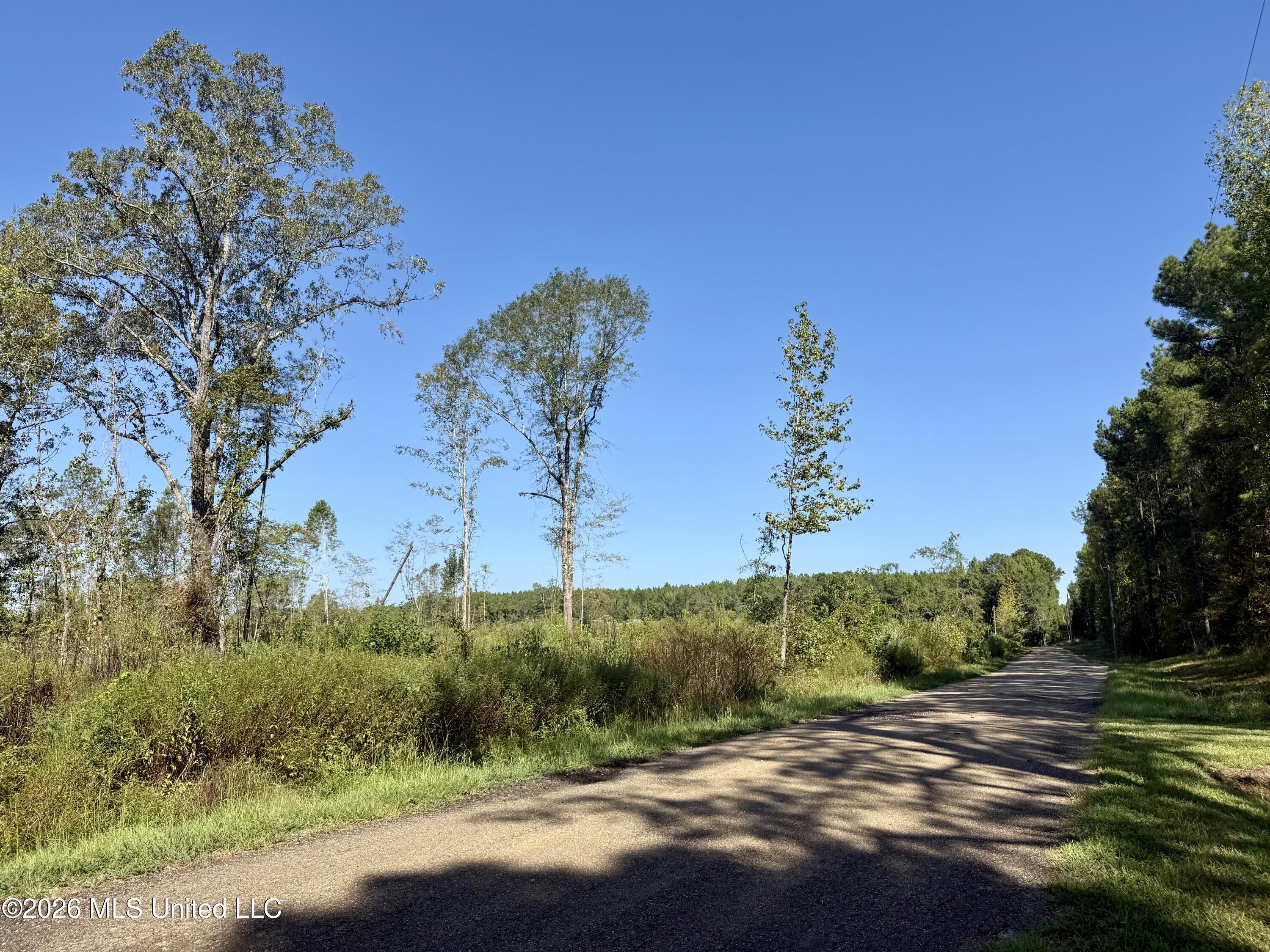 Cauthen Road Camden, MS 39045 - Photo 14 of 22 FullSizeRender