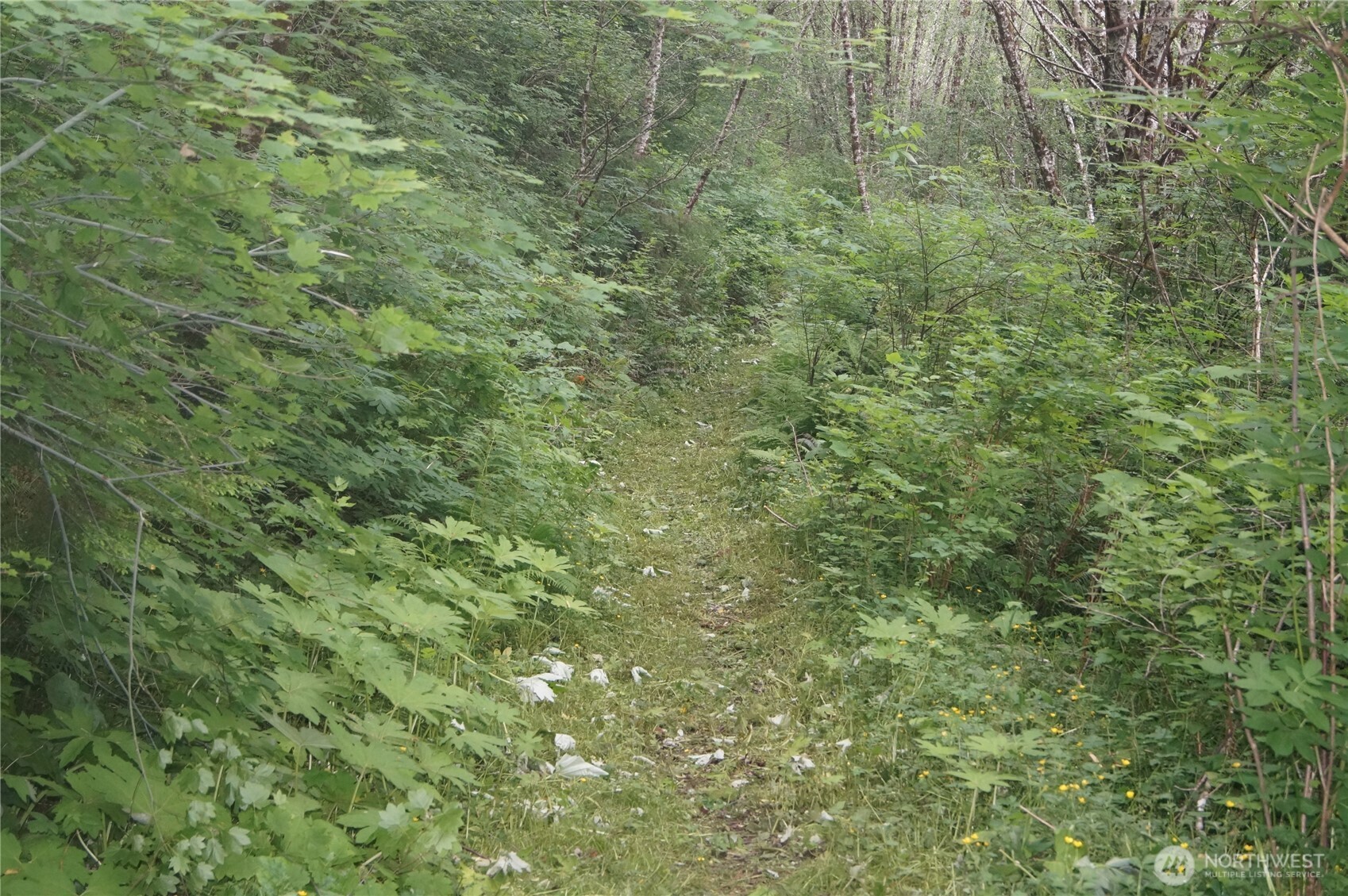 -off Of Panhandle Road Hoquiam, WA 98550 - Photo 3 of 13 Gallery Image 3