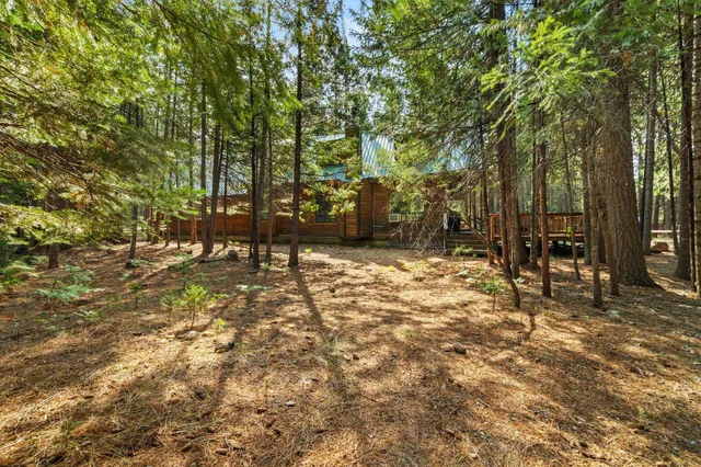 a view of outdoor space with trees