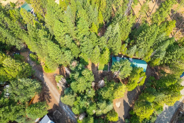 a view of a lush green forest with a lake