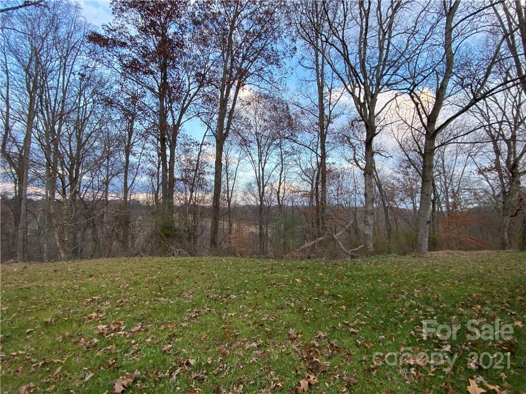 479 Huckleberry Ridge Road Hiddenite, NC 28636 - Photo 36 of 43 Gallery Image 36