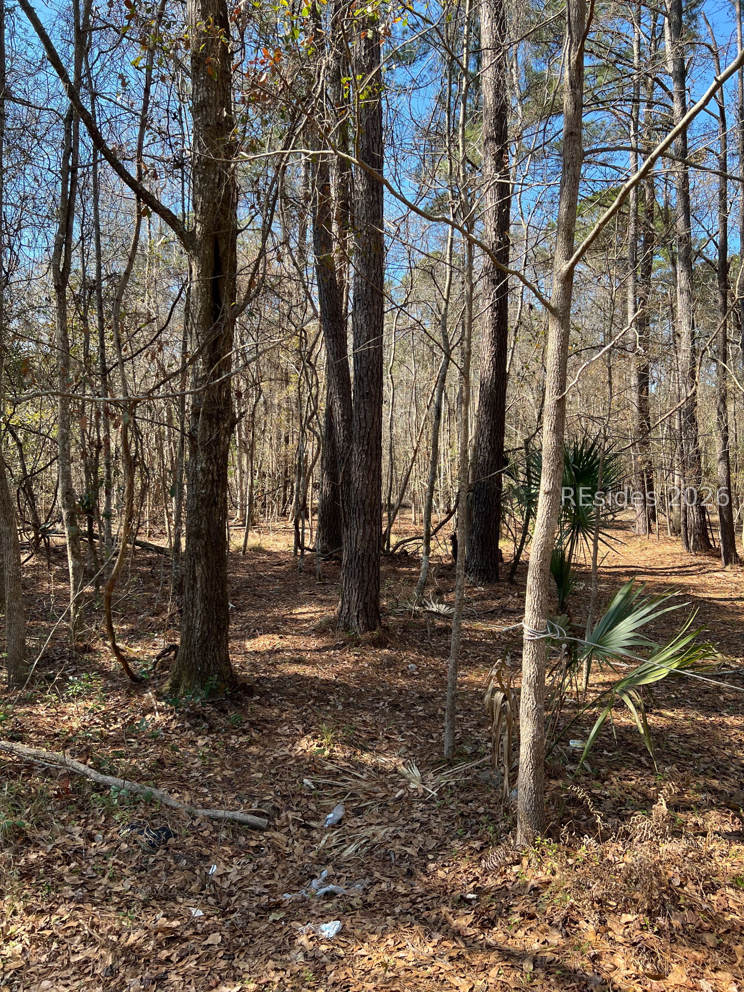125 Old Miller Road Bluffton, SC 29910 - Photo 5 of 7