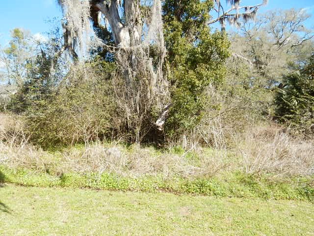 402 Freeman Road Lamont, FL 32336 - Photo 12 of 13 Gallery Image 12