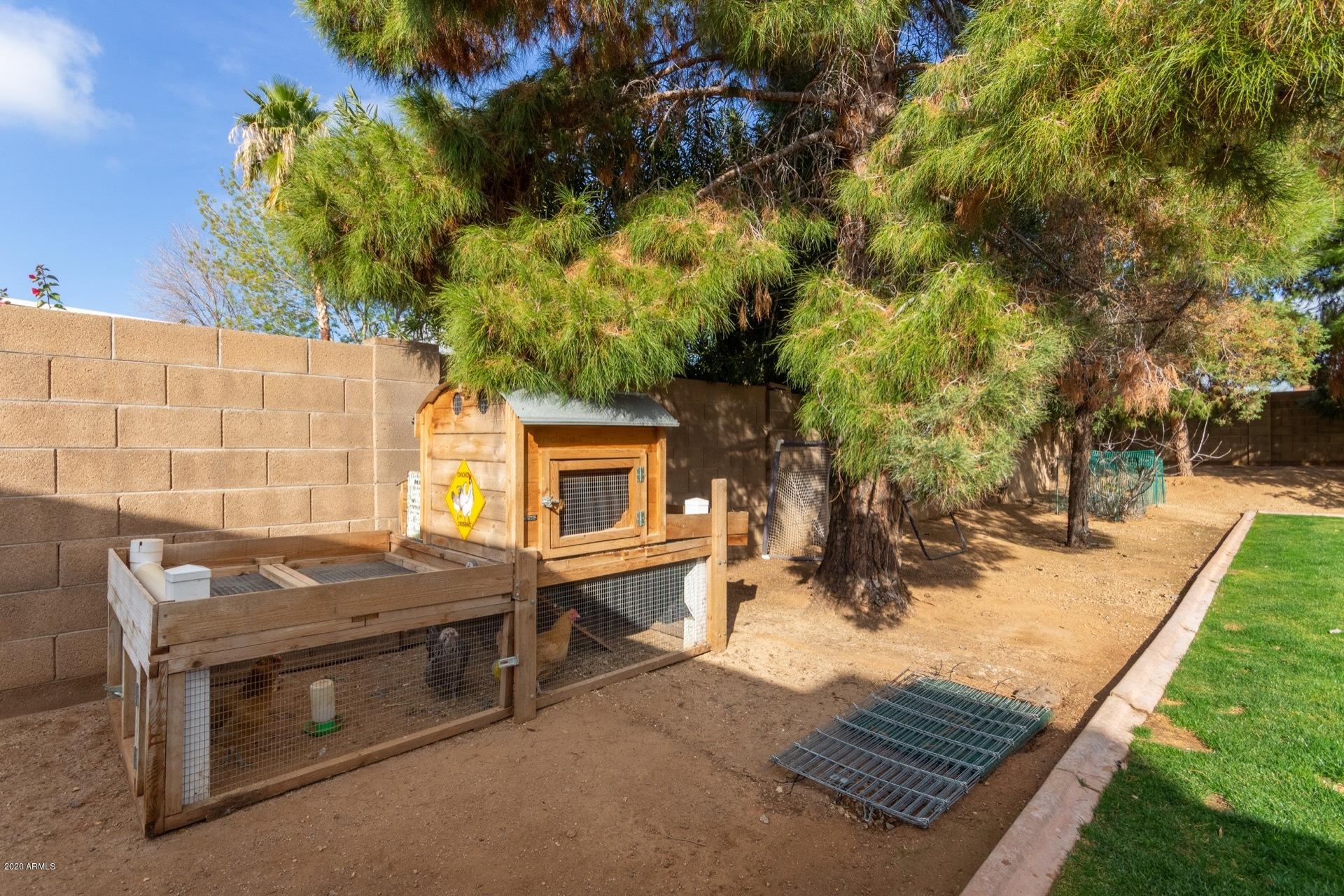 4518 East Phelps Road Phoenix, AZ 85032 - Photo 33 of 39 Side of Yard