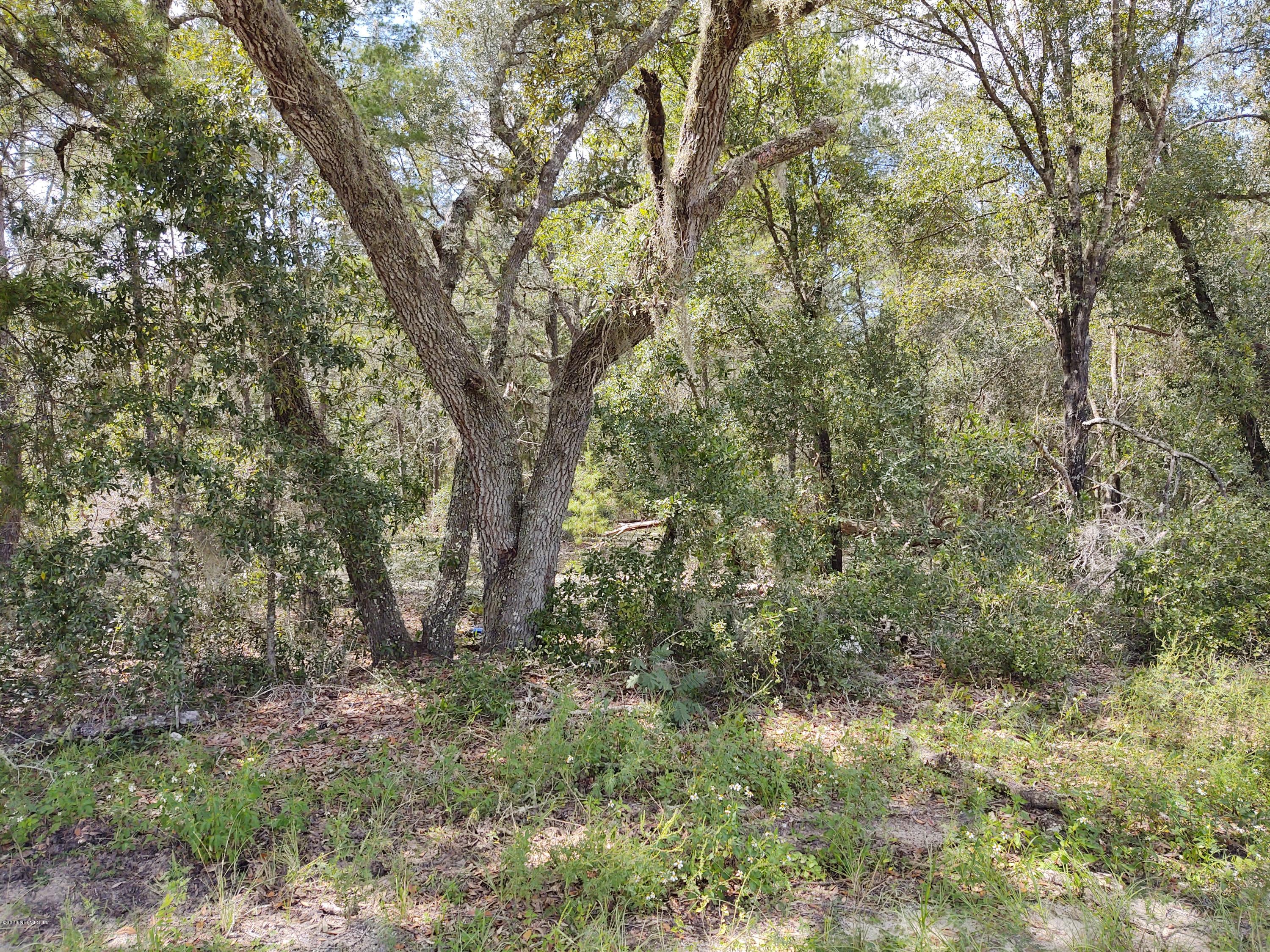 227 Keuka Road Interlachen, FL 32148 - Photo 1 of 16 IMG_20200924_140906274