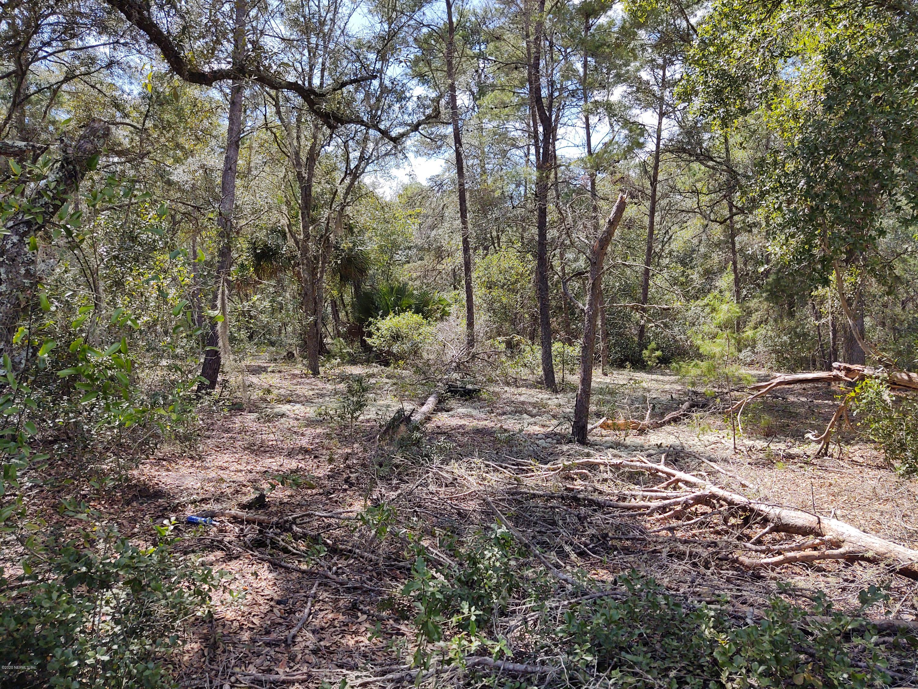 227 Keuka Road Interlachen, FL 32148 - Photo 6 of 16 IMG_20200924_140931855