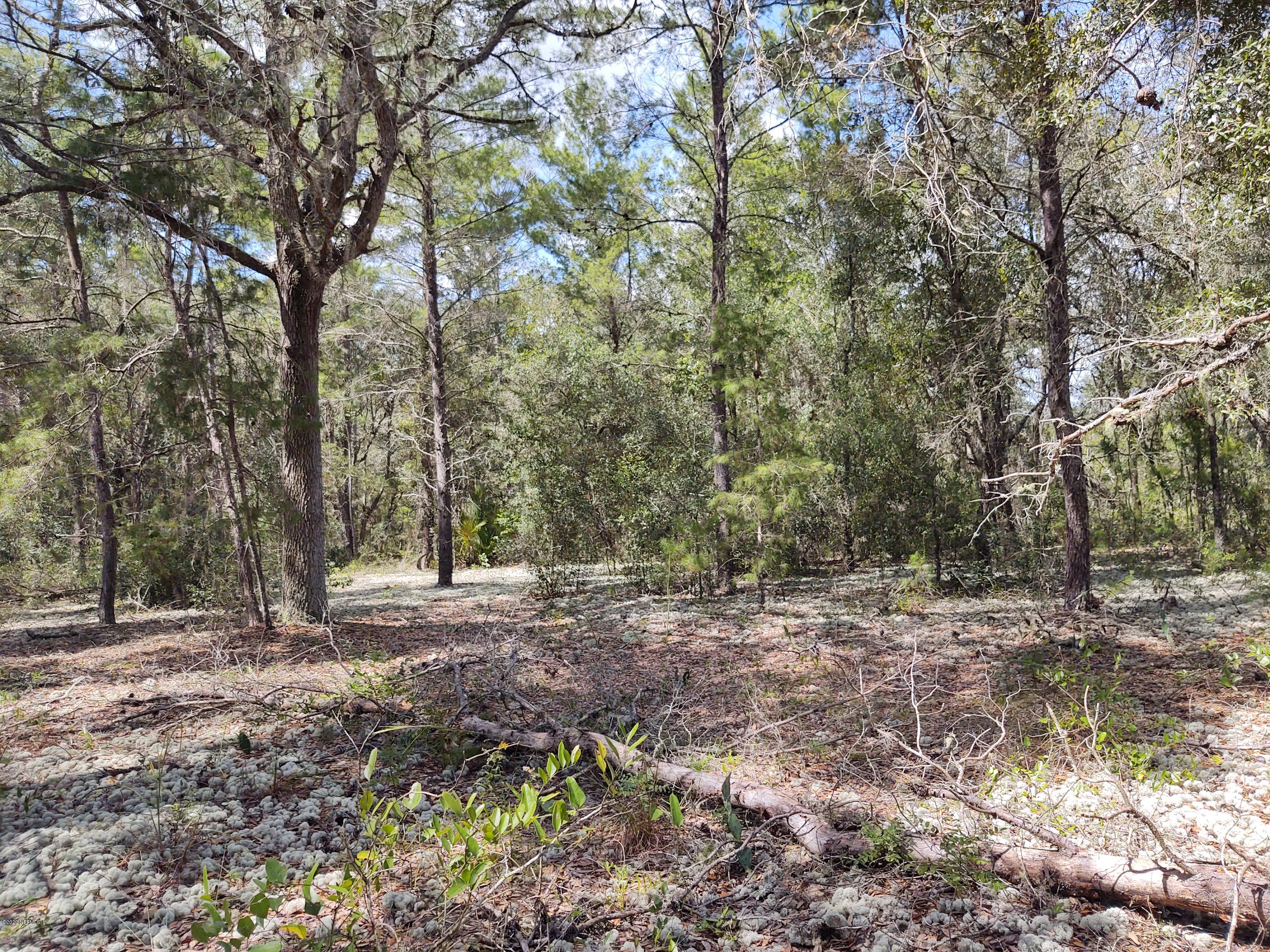 227 Keuka Road Interlachen, FL 32148 - Photo 7 of 16 IMG_20200924_140959840