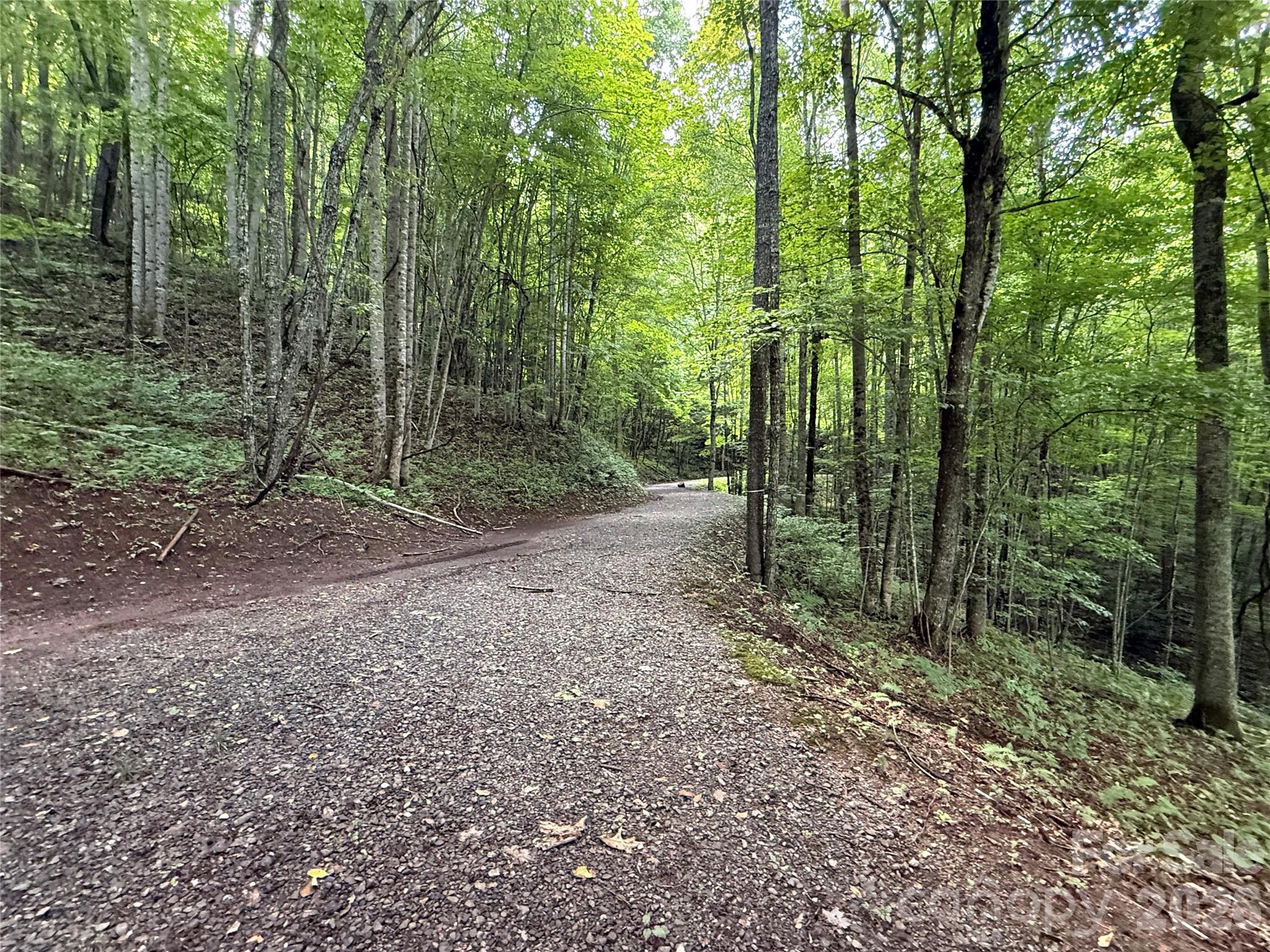1781 High Line Road, Unit 63 Sylva, NC 28779 - Photo 3 of 9 Gallery Image 3