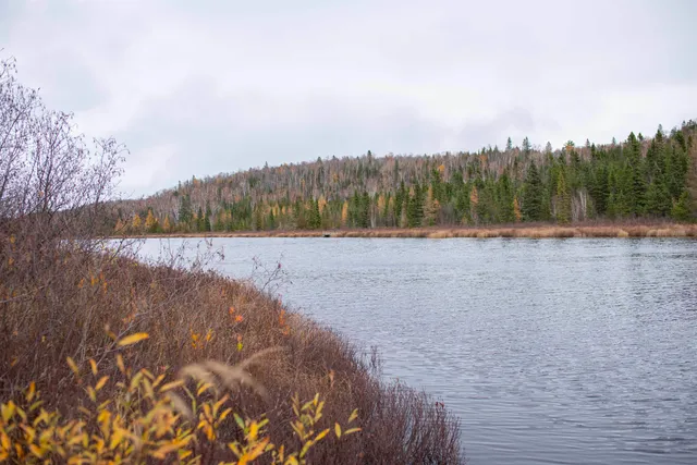 $169,000 | 7177 Cramer Road, Finland, MN 55603