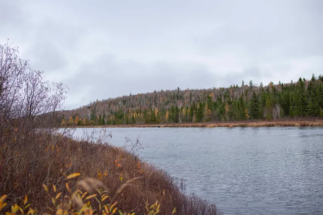 $169,000 | 7177 Cramer Road, Finland, MN 55603