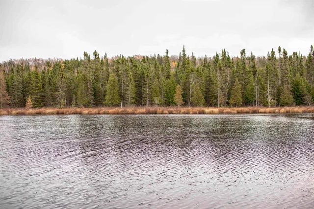 $169,000 | 7177 Cramer Road, Finland, MN 55603