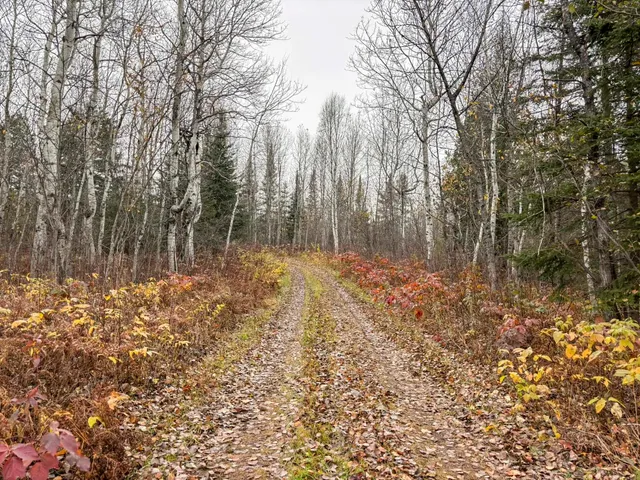 $169,000 | 7177 Cramer Road, Finland, MN 55603