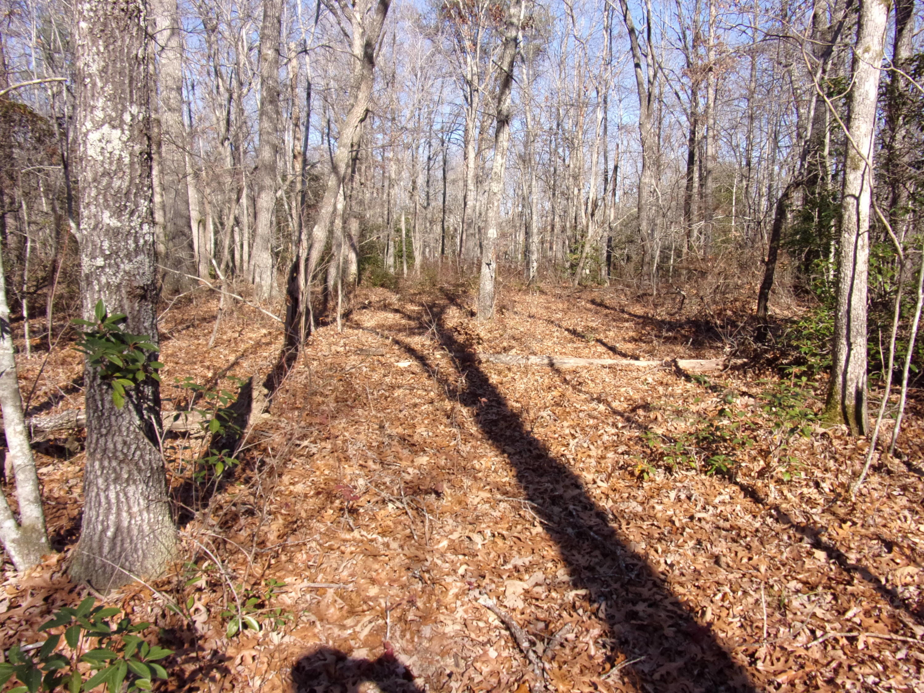 0 Cedar Road Pikeville, TN 37367 - Photo 20 of 24 101_0437