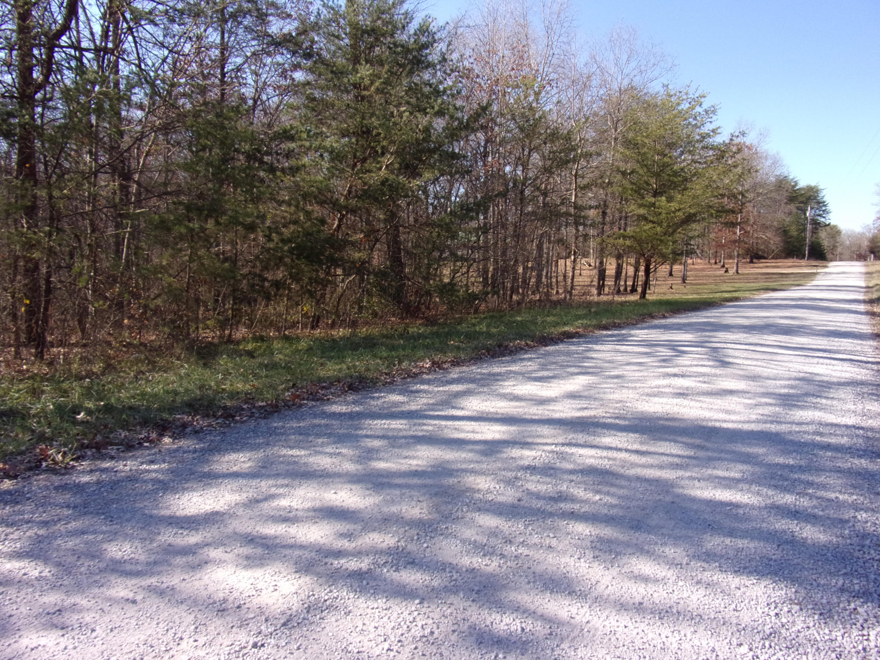 0 Cedar Road Pikeville, TN 37367 - Photo 23 of 24 101_0416