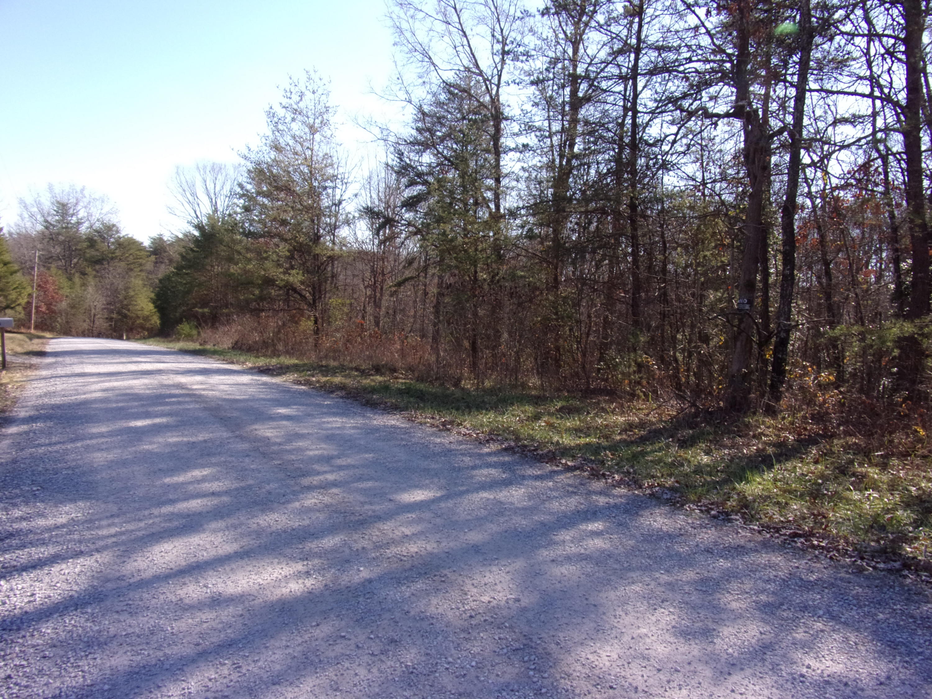 0 Cedar Road Pikeville, TN 37367 - Photo 24 of 24 101_0417
