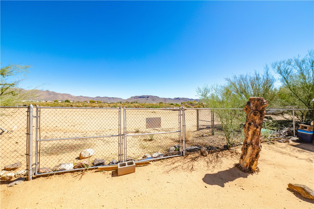 354 South Hano Road Golden Valley, AZ 86413 - Photo 45 of 57 Yard