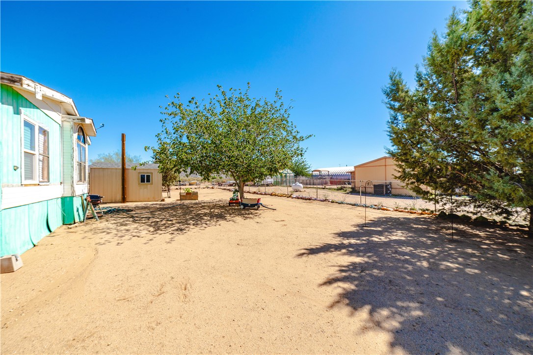 354 South Hano Road Golden Valley, AZ 86413 - Photo 51 of 57 Yard