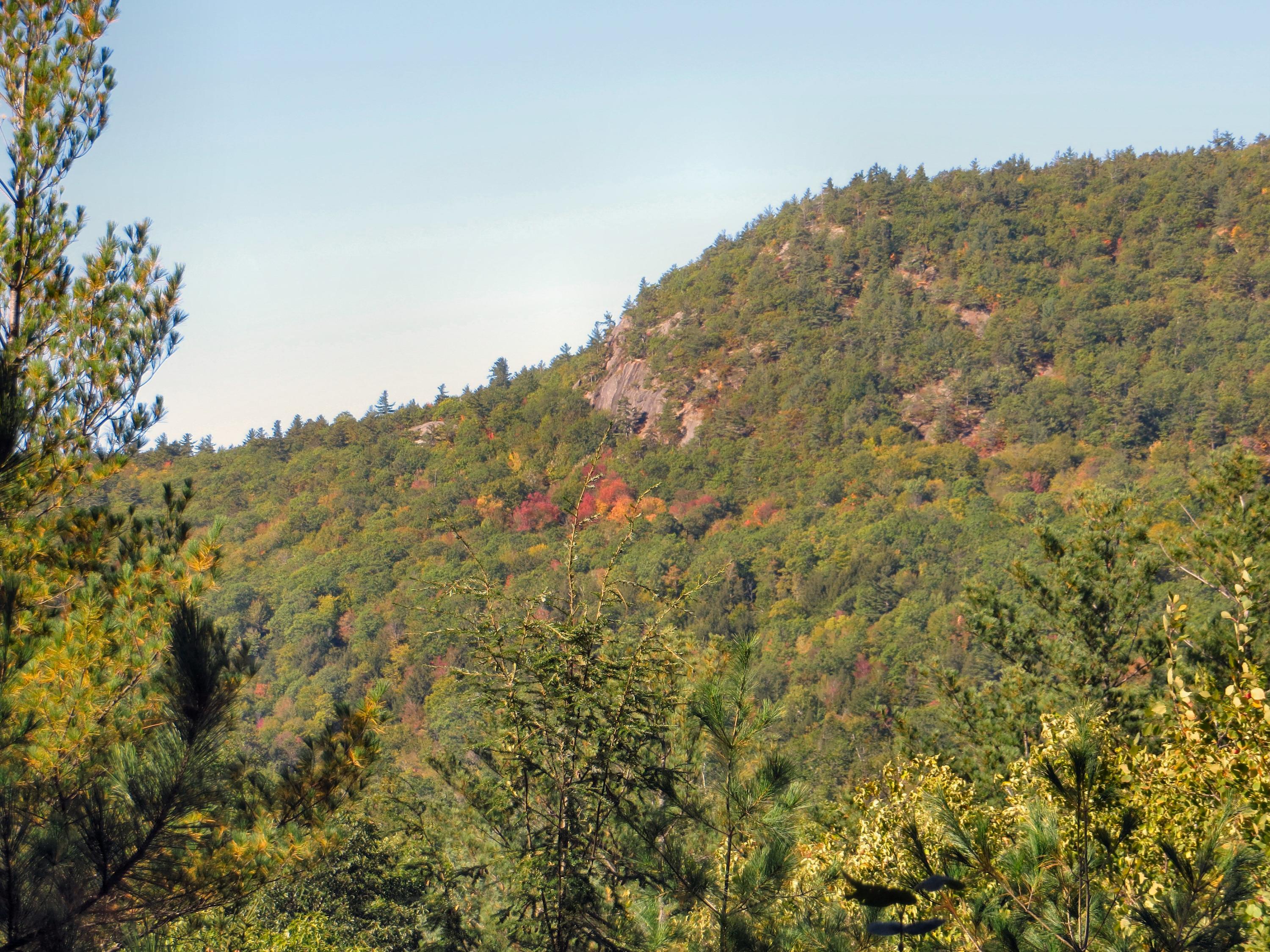 Lot 08 Mt Tumbledown Road Bethel, ME 04217 - Photo 4 of 18 IMG_1627