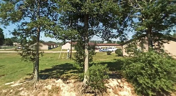 a view of a garden