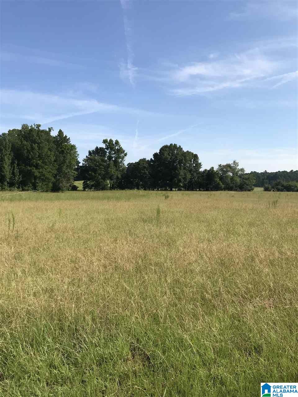 Leach Cemetery Road, Unit 25 Helena, AL 35080 - Photo 1 of 3 Gallery Image 1