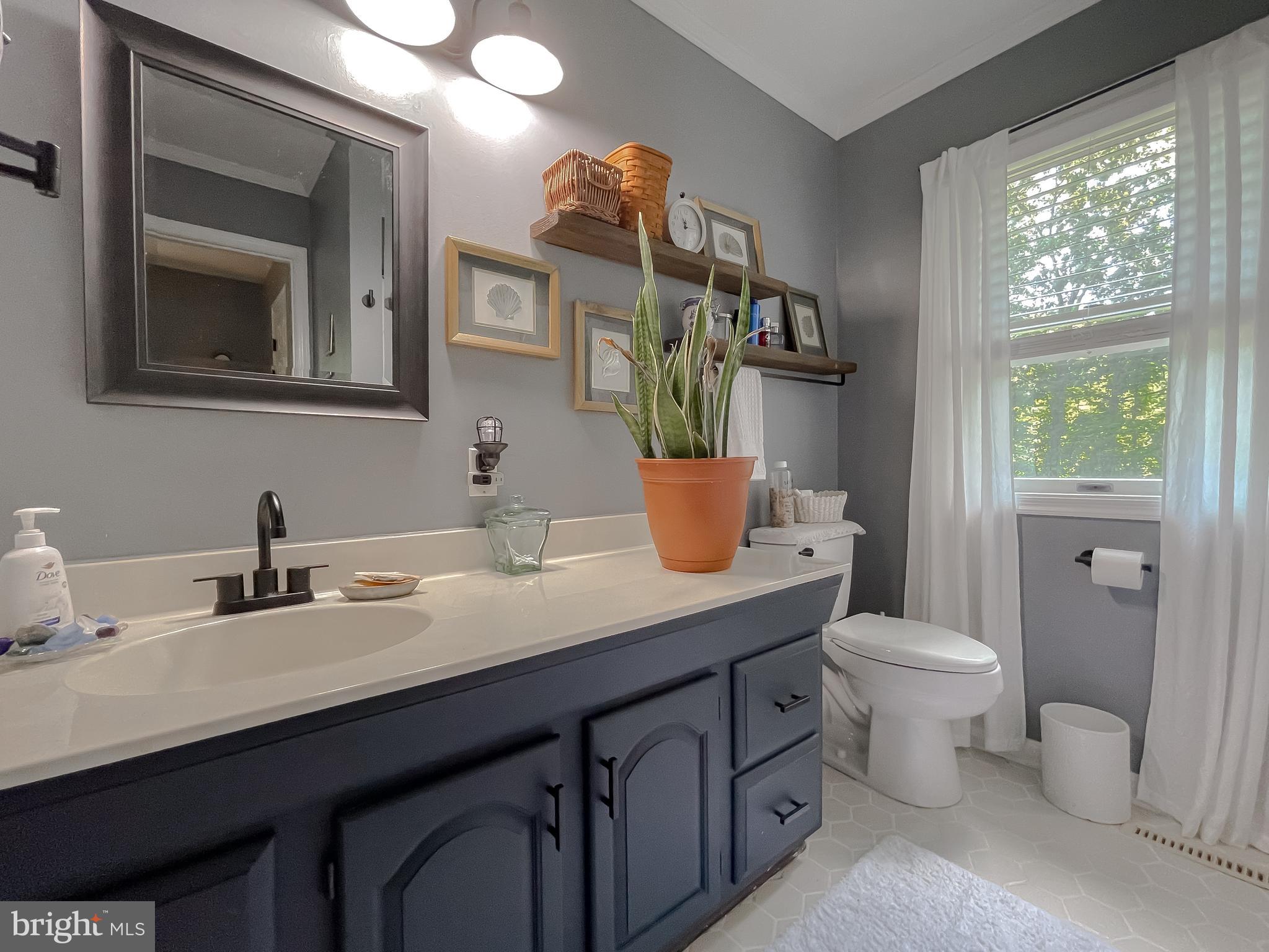 22338 White Oak Road Leonardtown, MD 20650 - Photo 44 of 66 a bathroom with a toilet a sink and mirror
