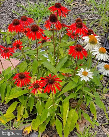 $550,000 | 22338 White Oak Road, Leonardtown, MD 20650