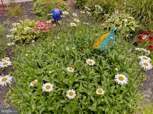 $550,000 | 22338 White Oak Road, Leonardtown, MD 20650