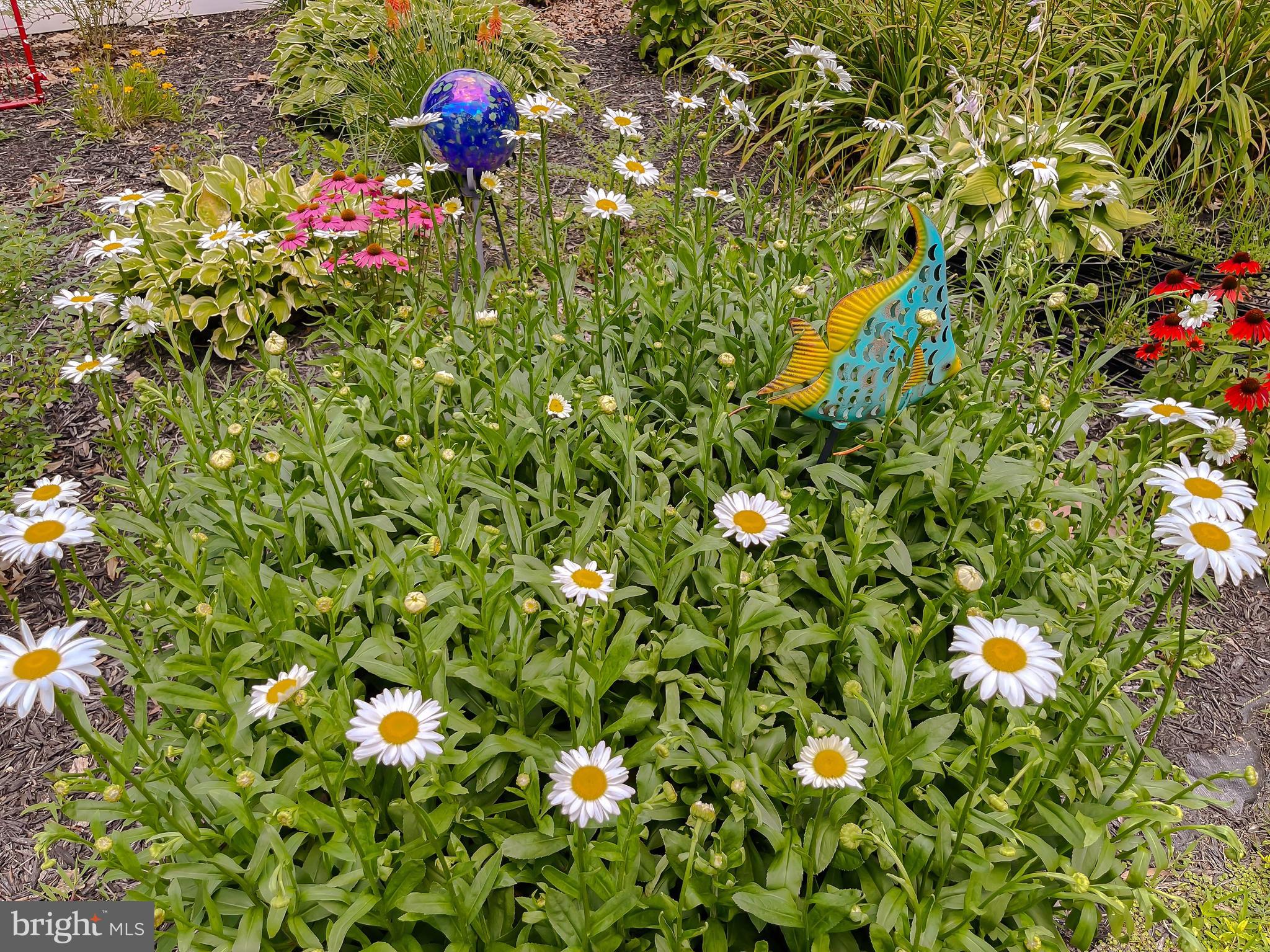 22338 White Oak Road Leonardtown, MD 20650 - Photo 58 of 66