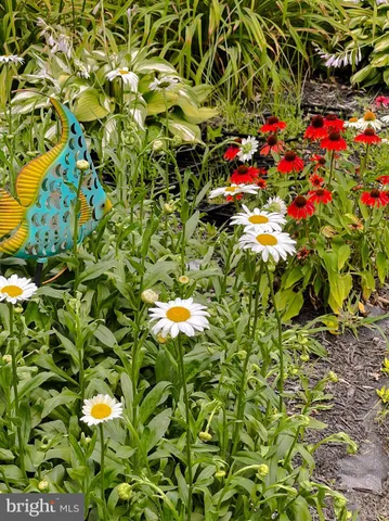 $550,000 | 22338 White Oak Road, Leonardtown, MD 20650