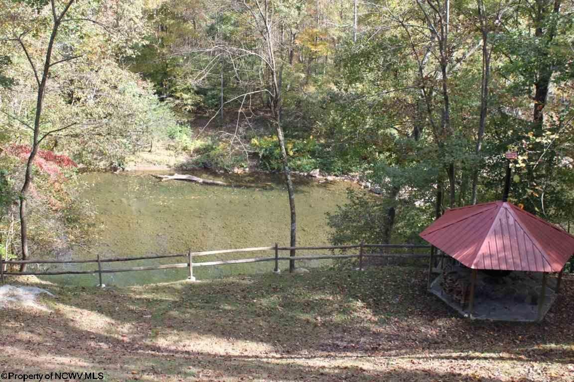 1133 Elk River Road Webster Springs, WV 26288 - Photo 7 of 17 Gallery Image 7