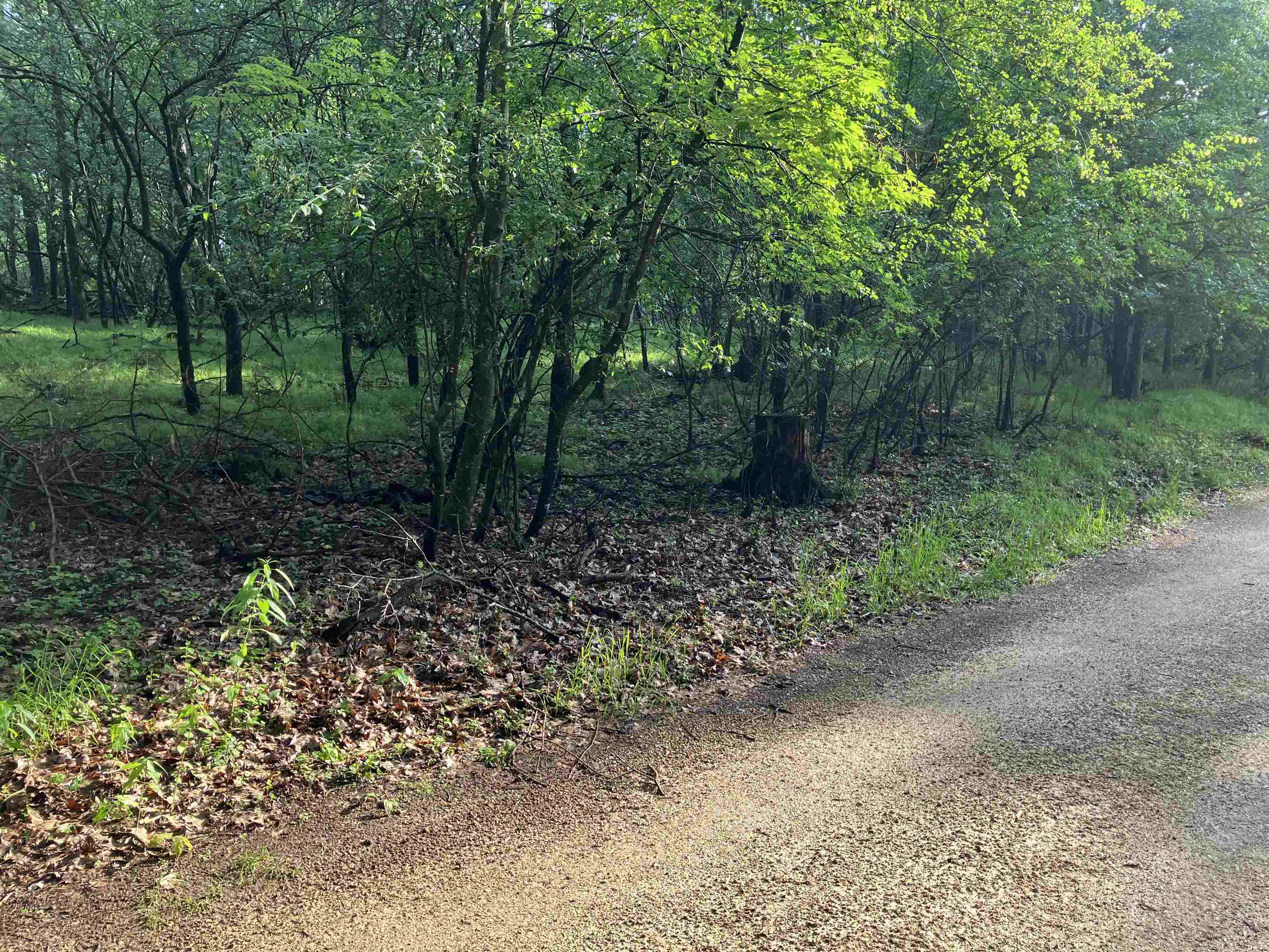 South Lake Road Wild Rose, WI 54984 - Photo 2 of 7