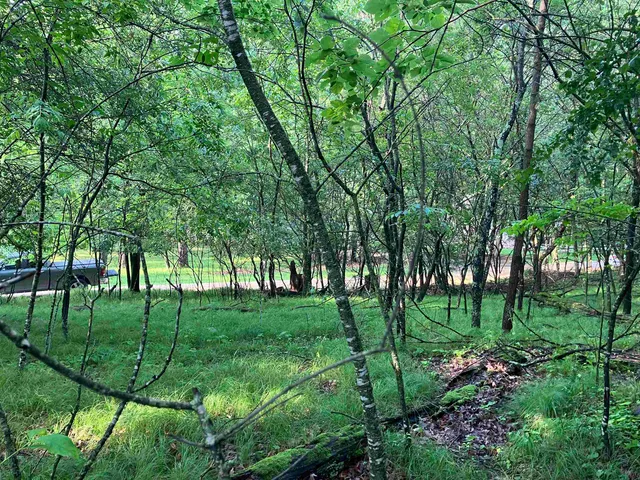 $36,900 | South Lake Road, Wild Rose, WI 54984